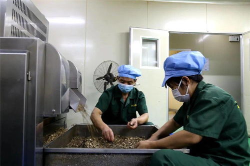 李茂濤深入重點工業企業走訪調研，聚焦技術交流與創新發展